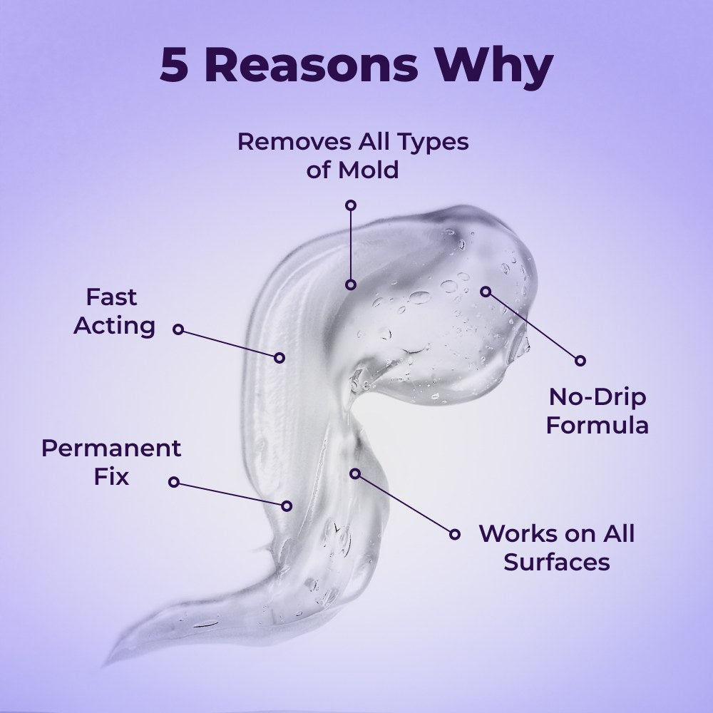 Lunn Store - Mold Remover Gold