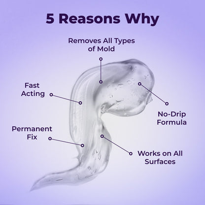 Lunn Store - Mold Remover Gold